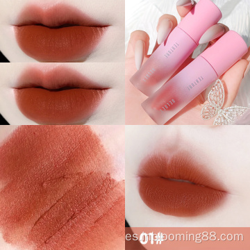 Etiqueta privada personalizada Beautiful Shimmer Lip Gloss